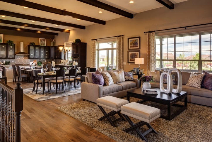 Toll Brothers Homes living room in Anthem Ranch 55 plus active adult community