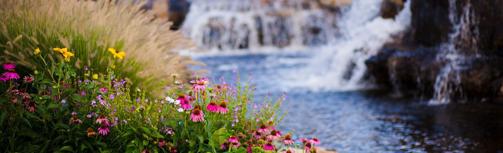 Broomfield parks in Anthem Colorado
